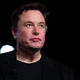 Tesla and SpaceX CEO and self-admitted idiot Elon Musk.